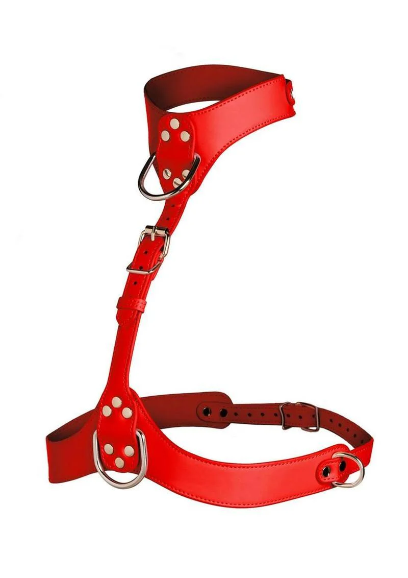 Master Series Vixen Female Chest Vegan Leather Harness - Image 9